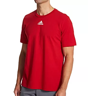 Amplifier 100% Cotton Regular Fit T-Shirt POWRD S