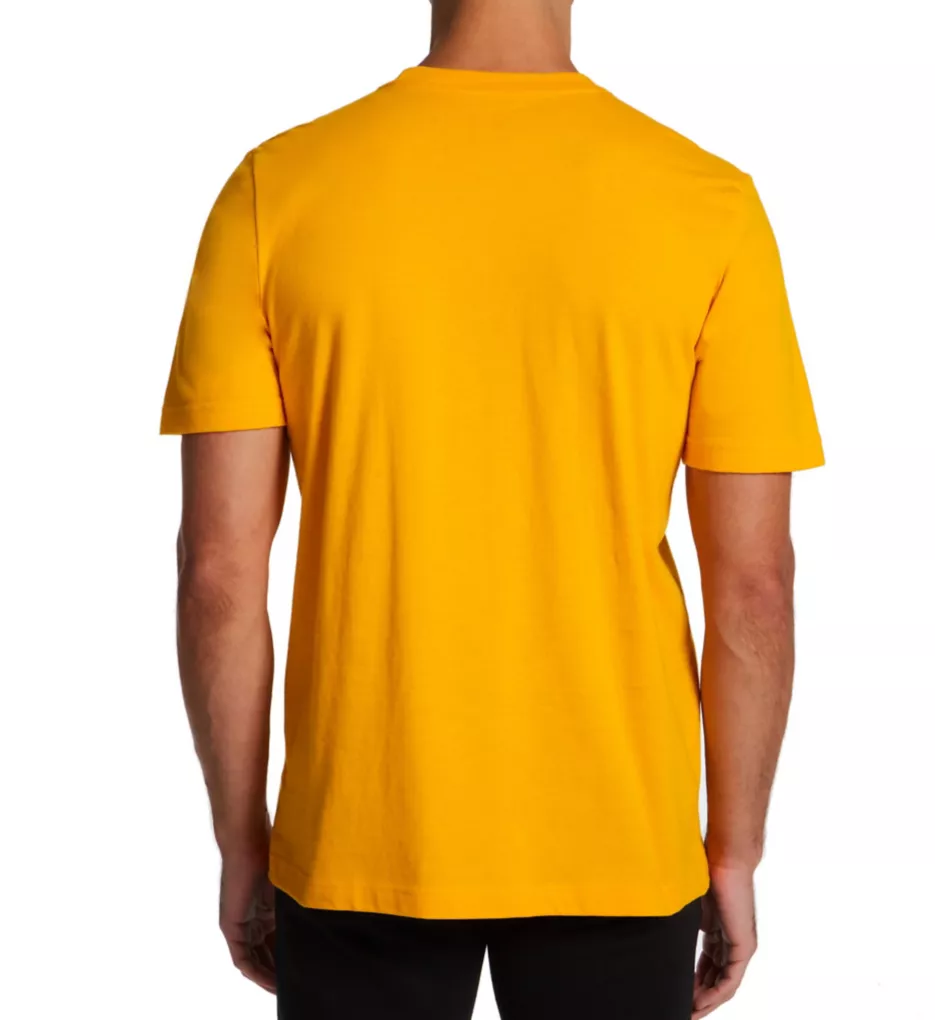 Amplifier 100% Cotton Regular Fit T-Shirt CGOLD S
