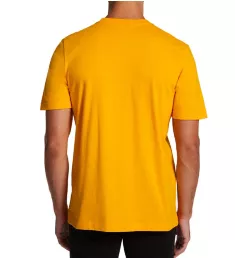 Amplifier 100% Cotton Regular Fit T-Shirt CGOLD S