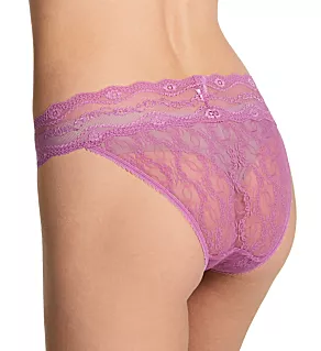 Lace Kiss Bikini Panty Mulberry XL