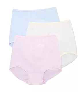 Skimp Skamp Brief Panty - 3 Pack Raspicing/Moonlht/Sal 11