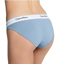 Modern Cotton Bikini Panty Iceland Blue XS