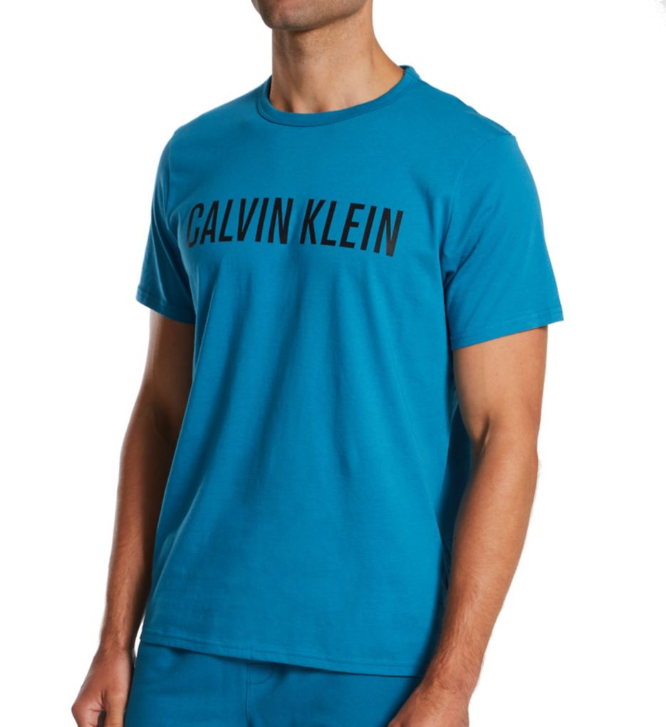 Calvin klein best sale blue tshirt