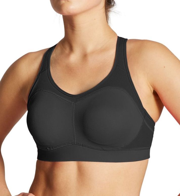 champion max support bra