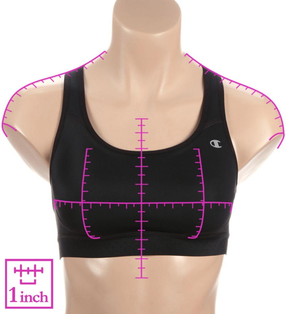 champion the absolute max sports bra