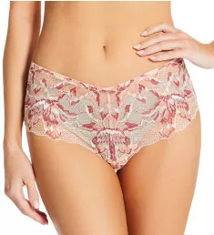 Paradiso Embroidered V-Hipster Panty