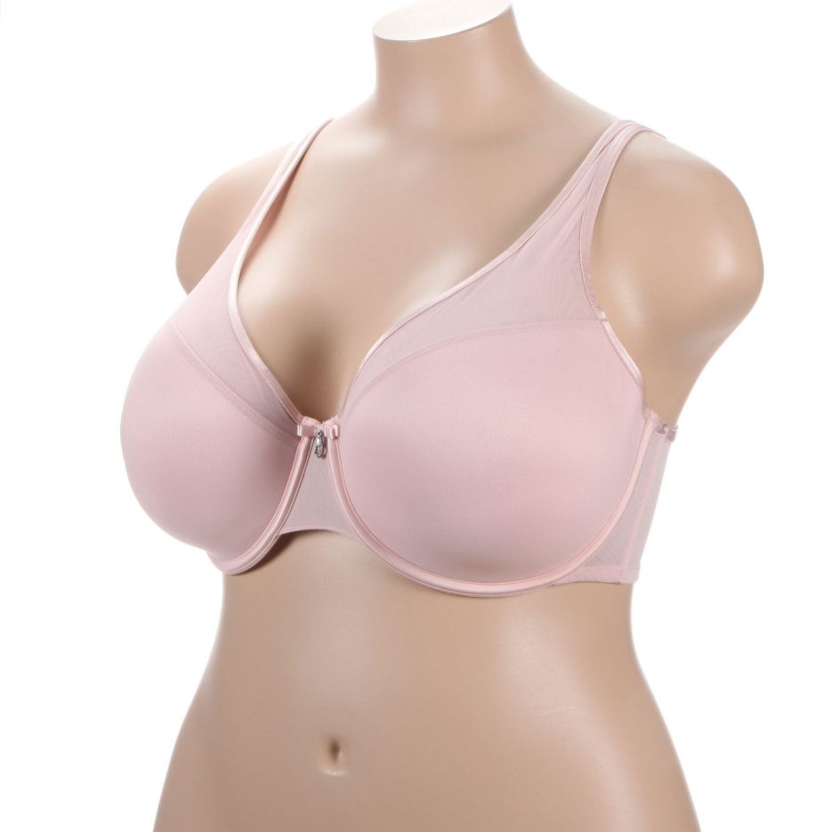 Sheer Mesh Plunge Push Up Underwire Bra