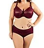 Curvy Couture Tulip Lace Hipster Panty 1169 - Image 3