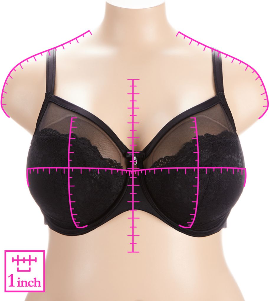 Curvy Couture - Luxe Lace Underwire – Fiercewith Love