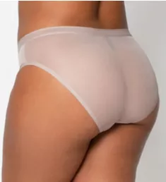 Sheer Mesh High Cut Brief Panty