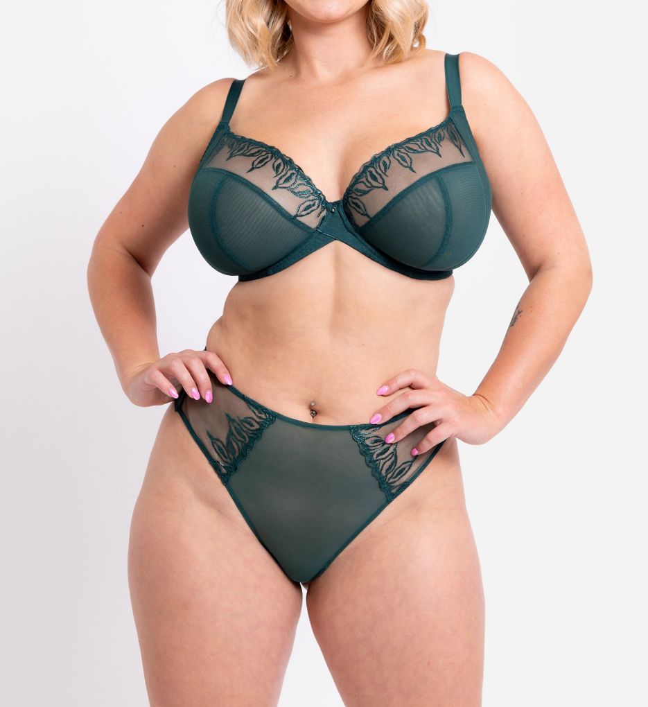 Curvy Kate Flare Deep Thong Panty CK0872 - Image 4