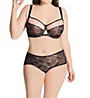 Curvy Kate Victory Allure Short Panty CK4121 - Image 3