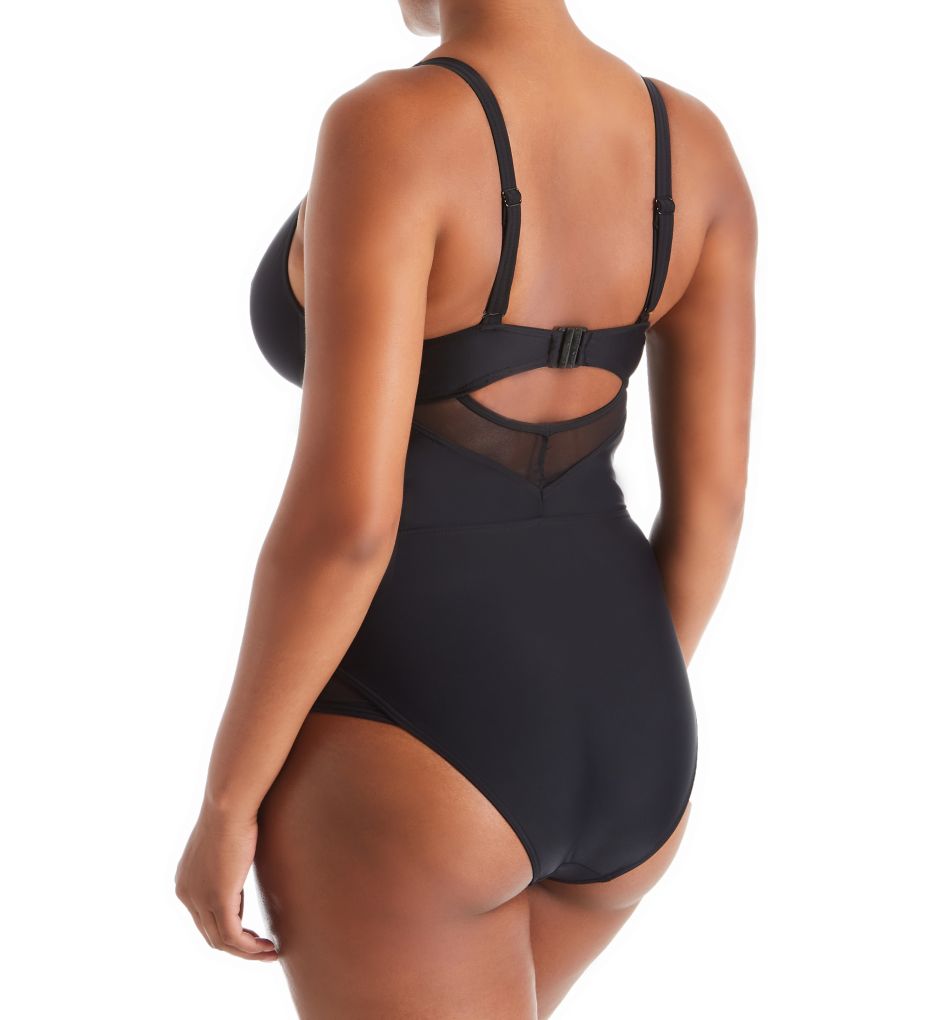 Sheer Class Plunge One Piece Swimsuit-bs