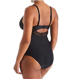 Sheer Class Plunge One Piece Swimsuit