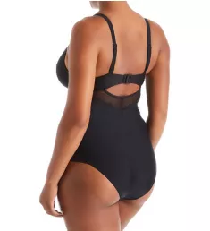 Sheer Class Plunge One Piece Swimsuit