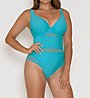 Curvy Kate Sheer Class Plunge One Piece Swimsuit