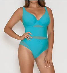 Sheer Class Plunge One Piece Swimsuit