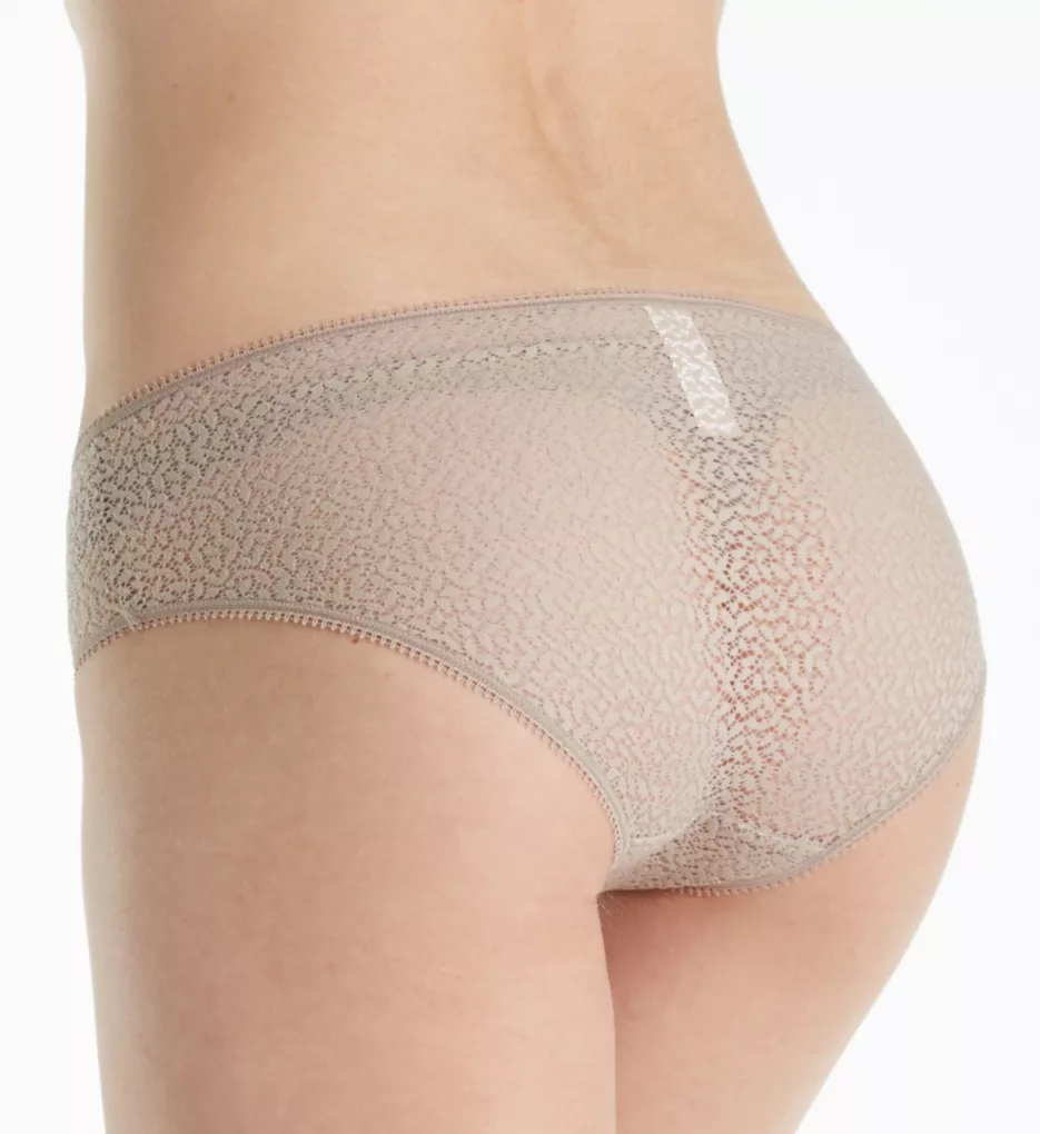 Sheers Hipster Panty