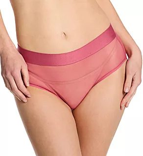 Sheers Mesh Brief Panty Dark Rose S