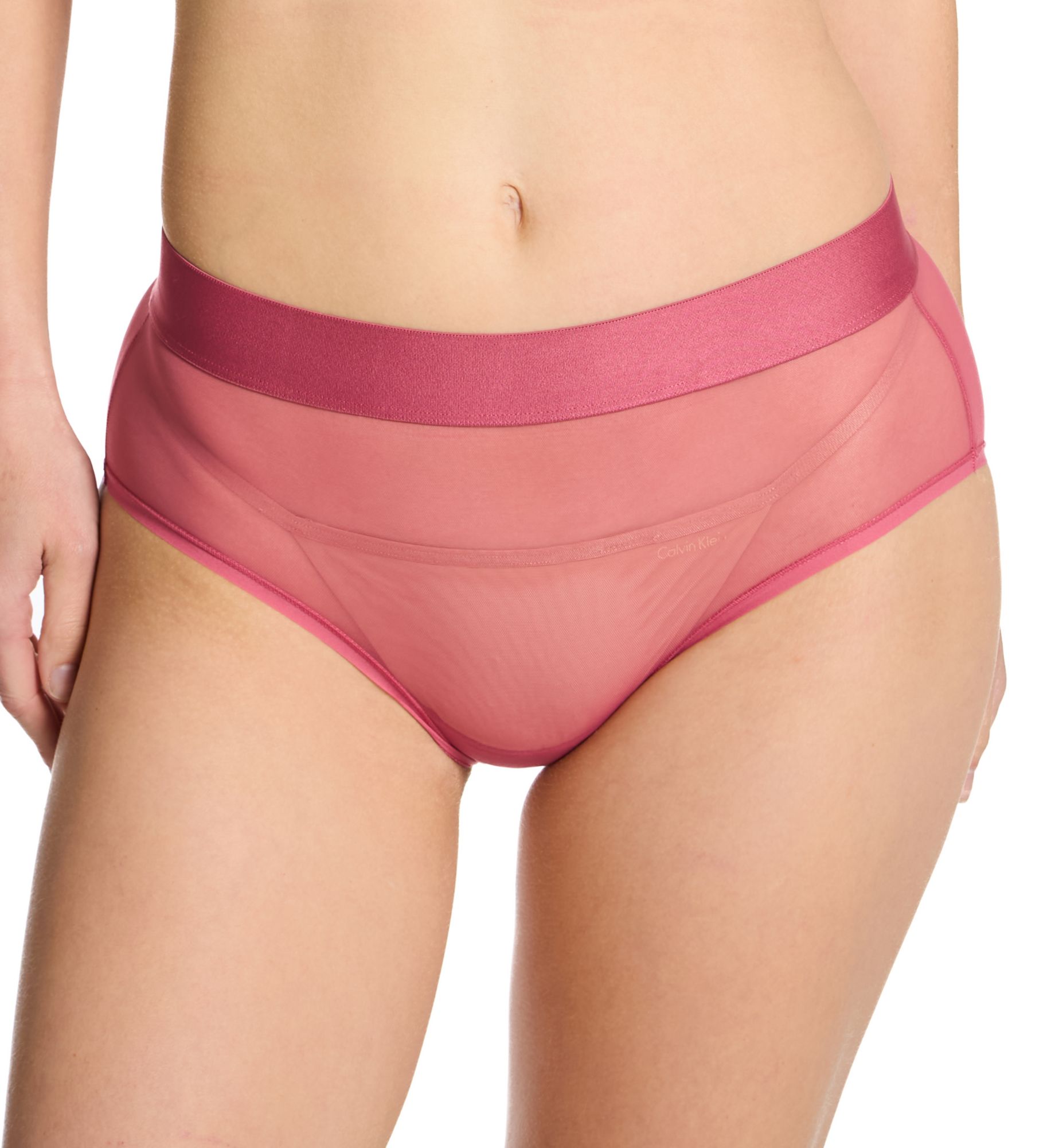 DKNY Sheers Mesh Brief Panty Dark Rose XL  - Image 1