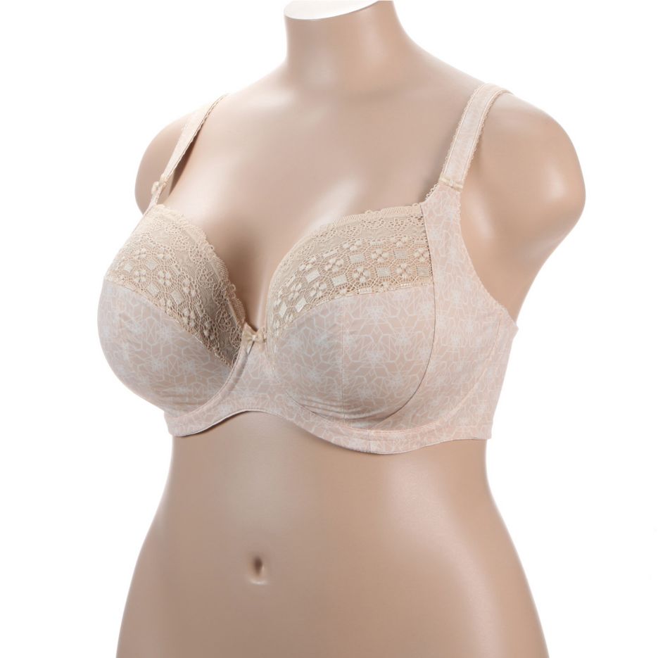 Elomi Kim Banded Stretch Lace Plunge Underwire Bra (4340)- Caramel