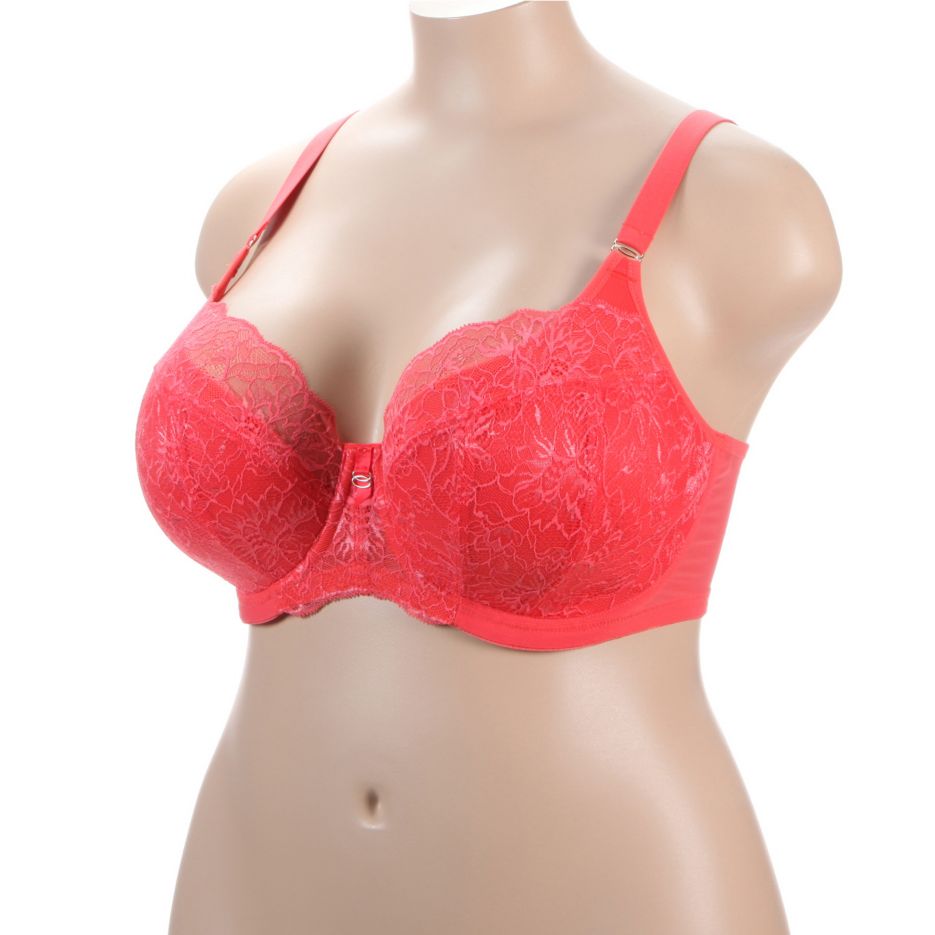 Brianna Underwire Padded Half Cup Bra