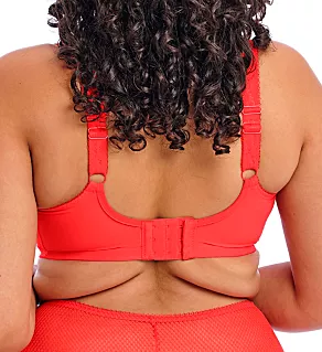 Charley Underwire Stretch Lace Plunge Bra Salsa 46DD