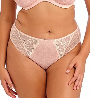 Lucie High Leg Brief Panty Pale Blush 2X