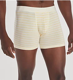 Everyday Breathable Wicking Anti Odor Boxer Brief Papyrus/Stripe M