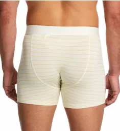 Everyday Breathable Wicking Anti Odor Boxer Brief Papyrus/Stripe M