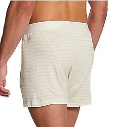 Everyday Breathable Wicking Anti Odor Boxer Papyrus/Stripe L