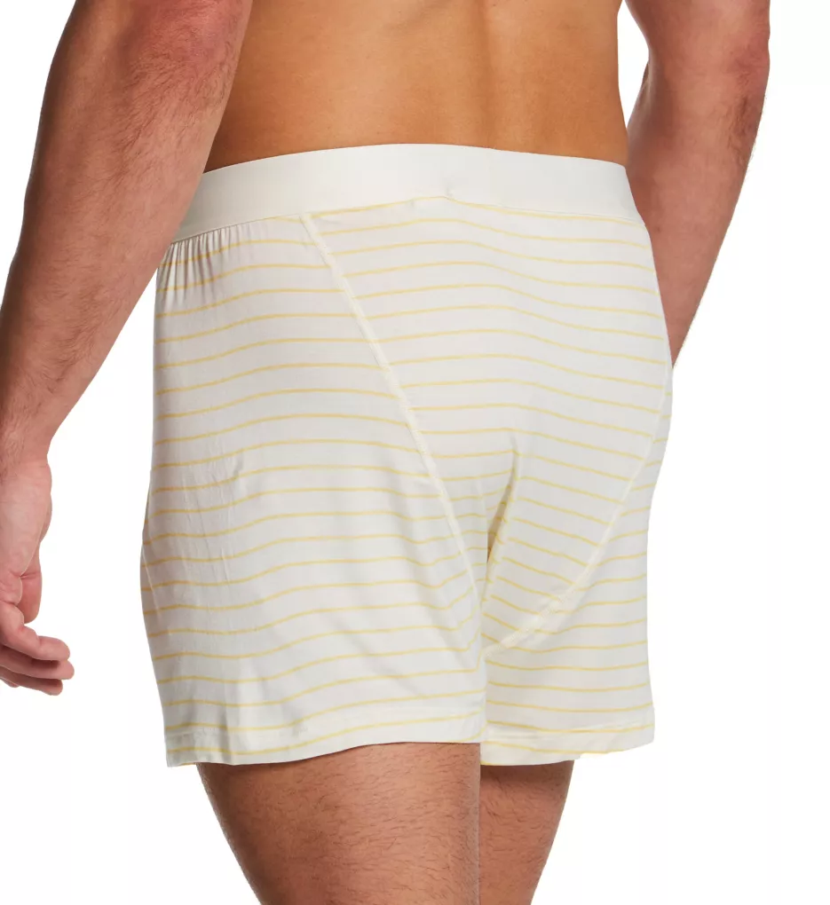 Everyday Breathable Wicking Anti Odor Boxer Papyrus/Stripe L