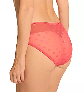 Carmen Bikini Panty Teaberry L