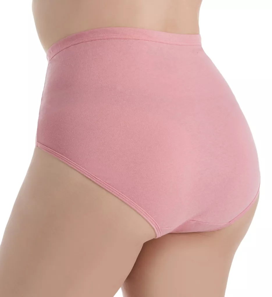 Women's Plus Size Heather Assorted Hi-Cut Panty (6 Pack) by Fruit