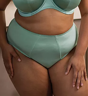 Keira Full Coverage Brief Panty Seafoam 3X