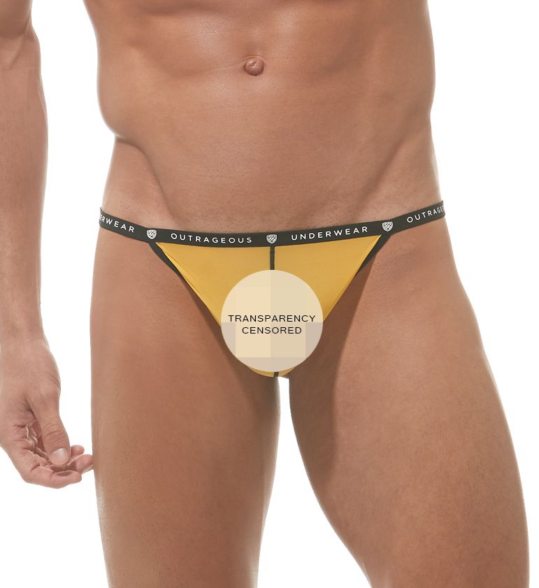 Gregg Homme Magnet Transparent Trunk Silver