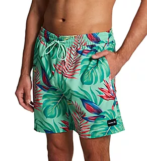 Cannonball 17 Inch Printed Volley