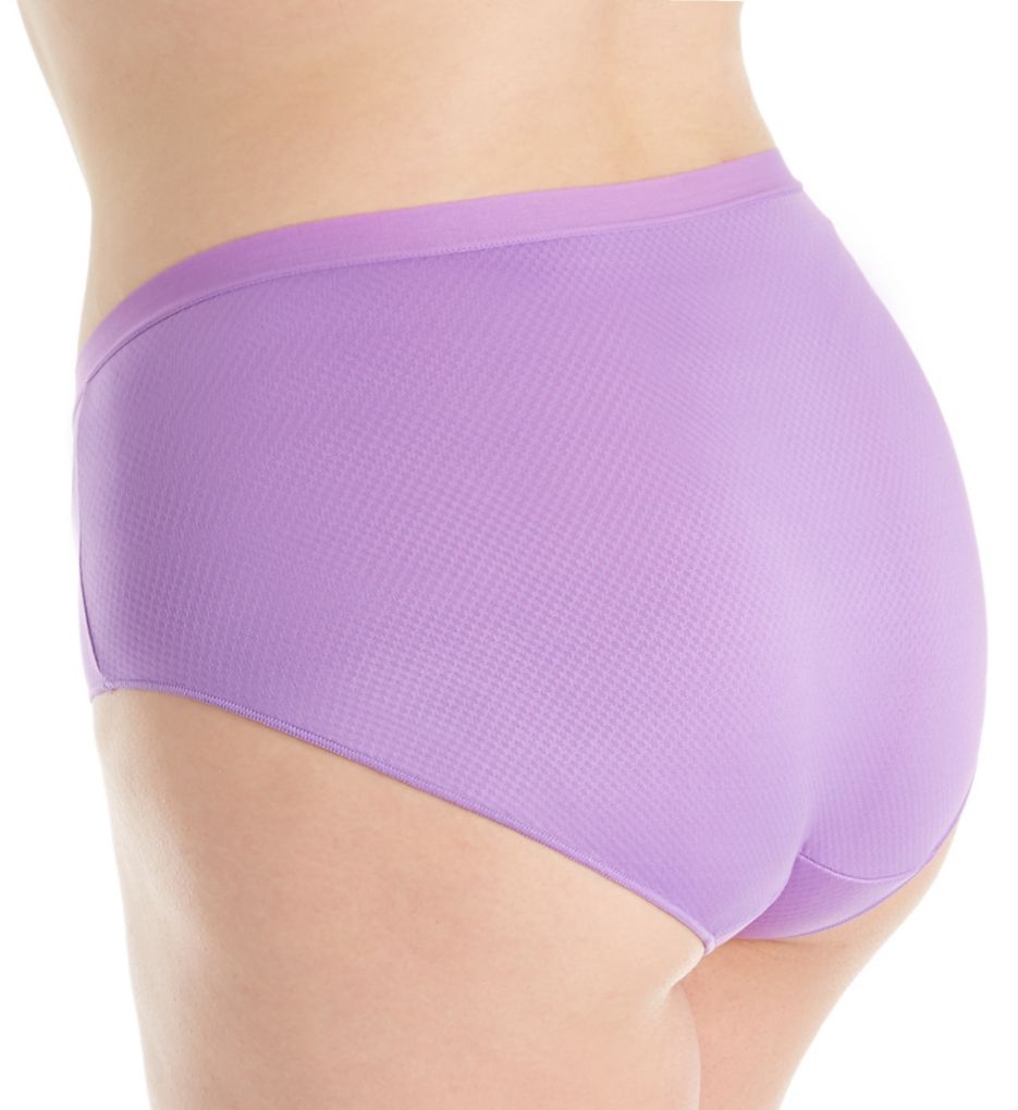 Hanes Women's Light Tummy Control Shapewear Brief Fajas 2-Pack MHH091