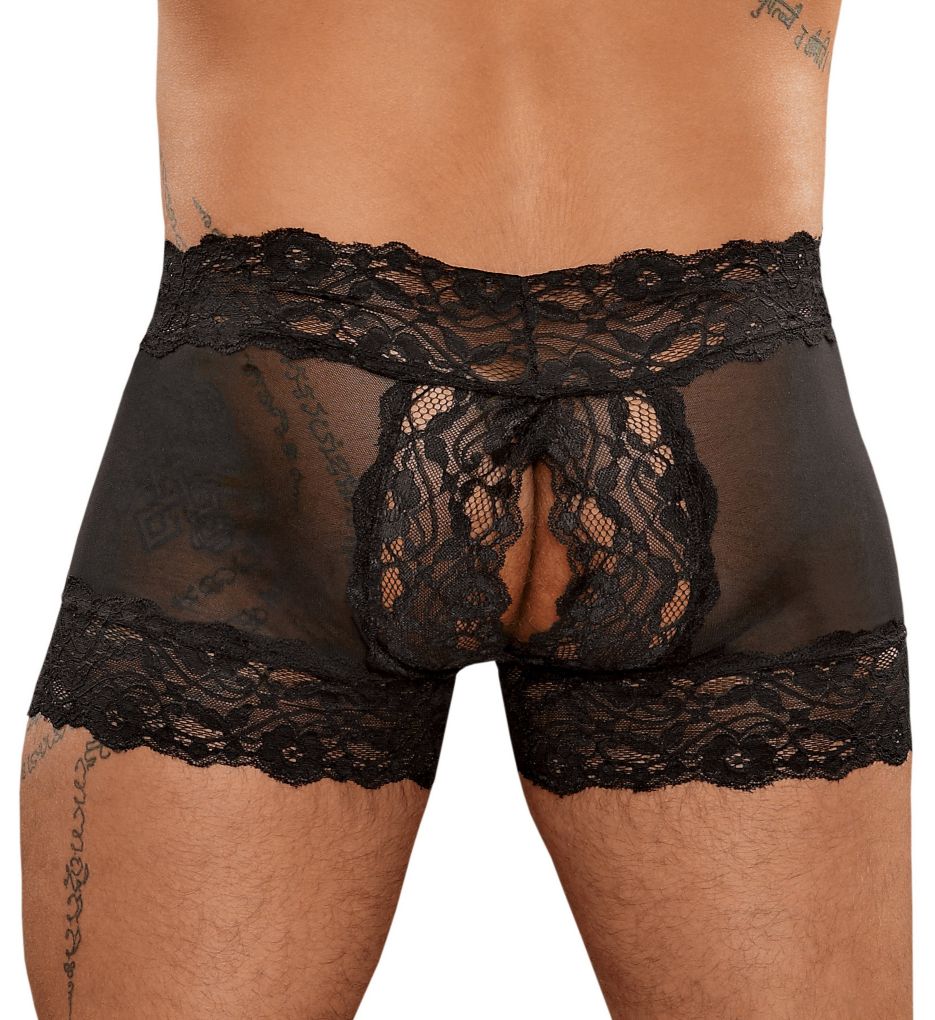 Scandal Lace Split Back Sheer Trunk