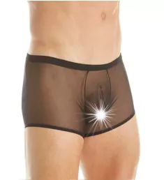 Sheer Stretch Mesh Pouch Trunk Black 1XL-2XL