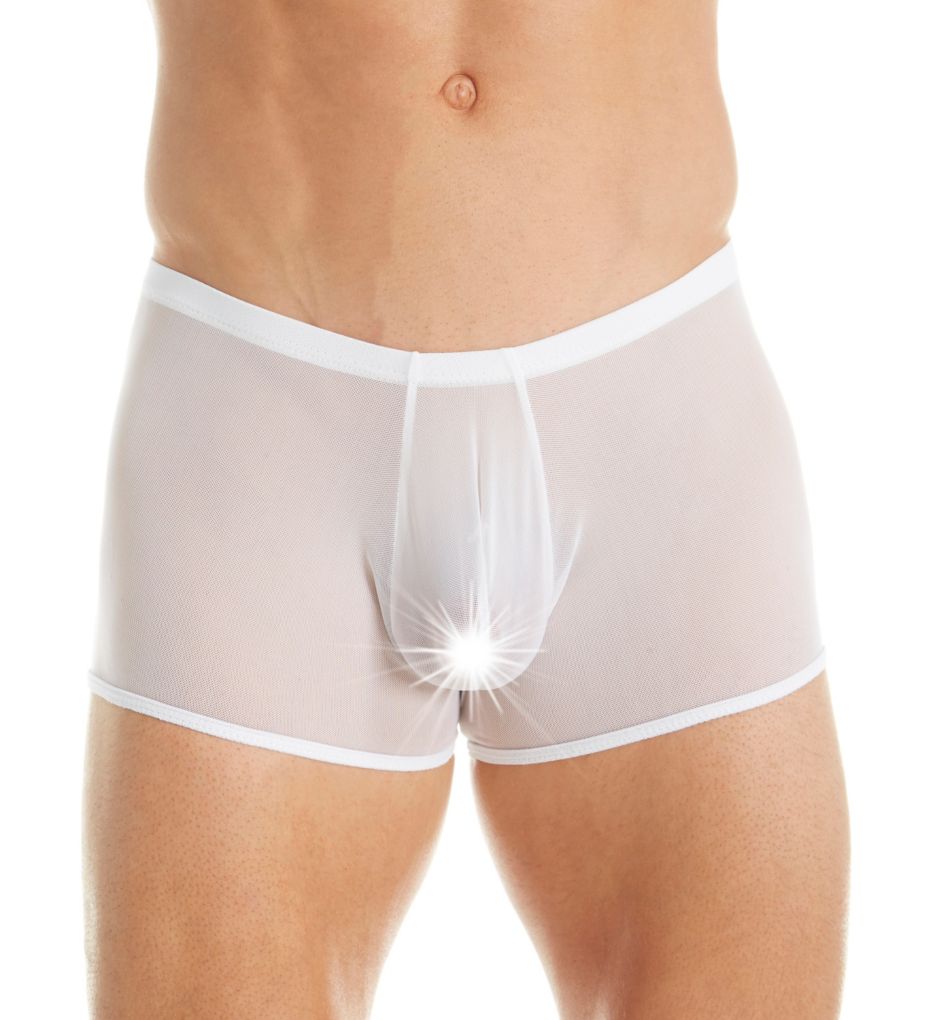 Sheer Stretch Mesh Pouch Trunk-fs