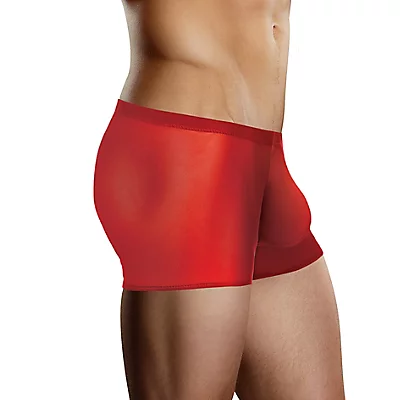 Sheer Stretch Mesh Pouch Trunk