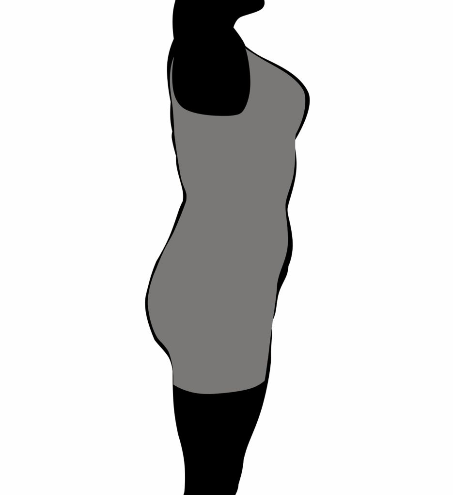 Women's MeMoi MSM-125 SlimMe Wear Your Own Bra Torsette Shaping Slip (Nude  XL) 