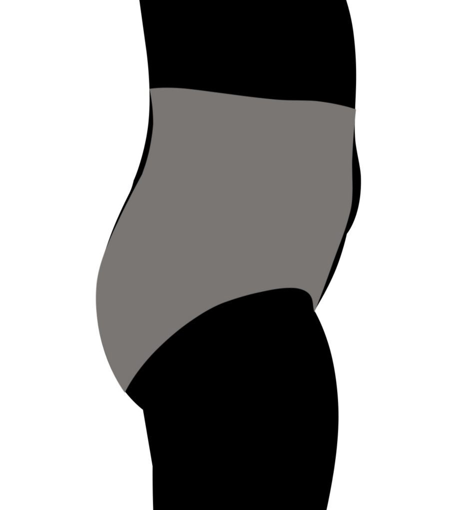 Miraclesuit Flexible Fit Waistline Brief 2904 - Image 6