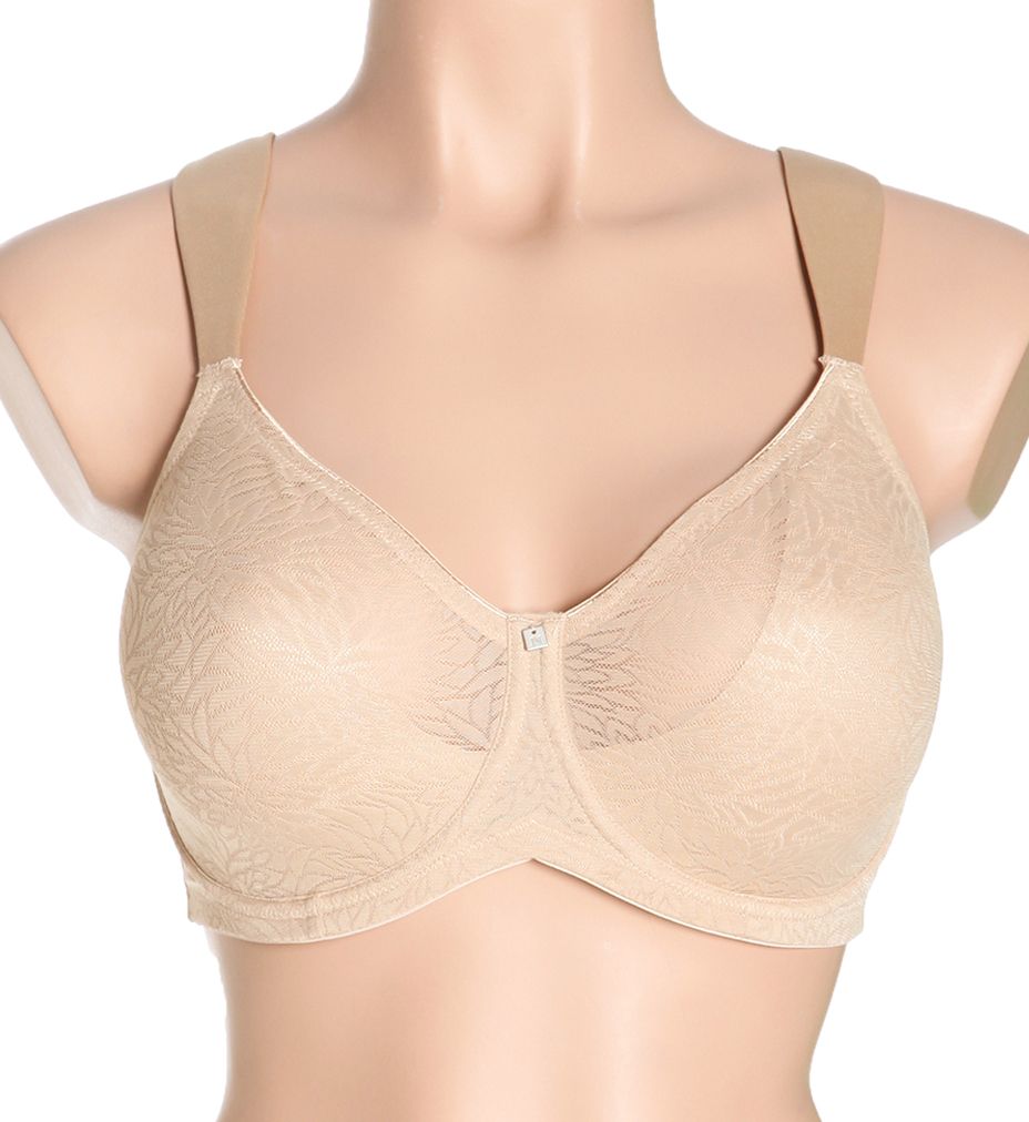 Smooth Curves Minimizer Bra-fs