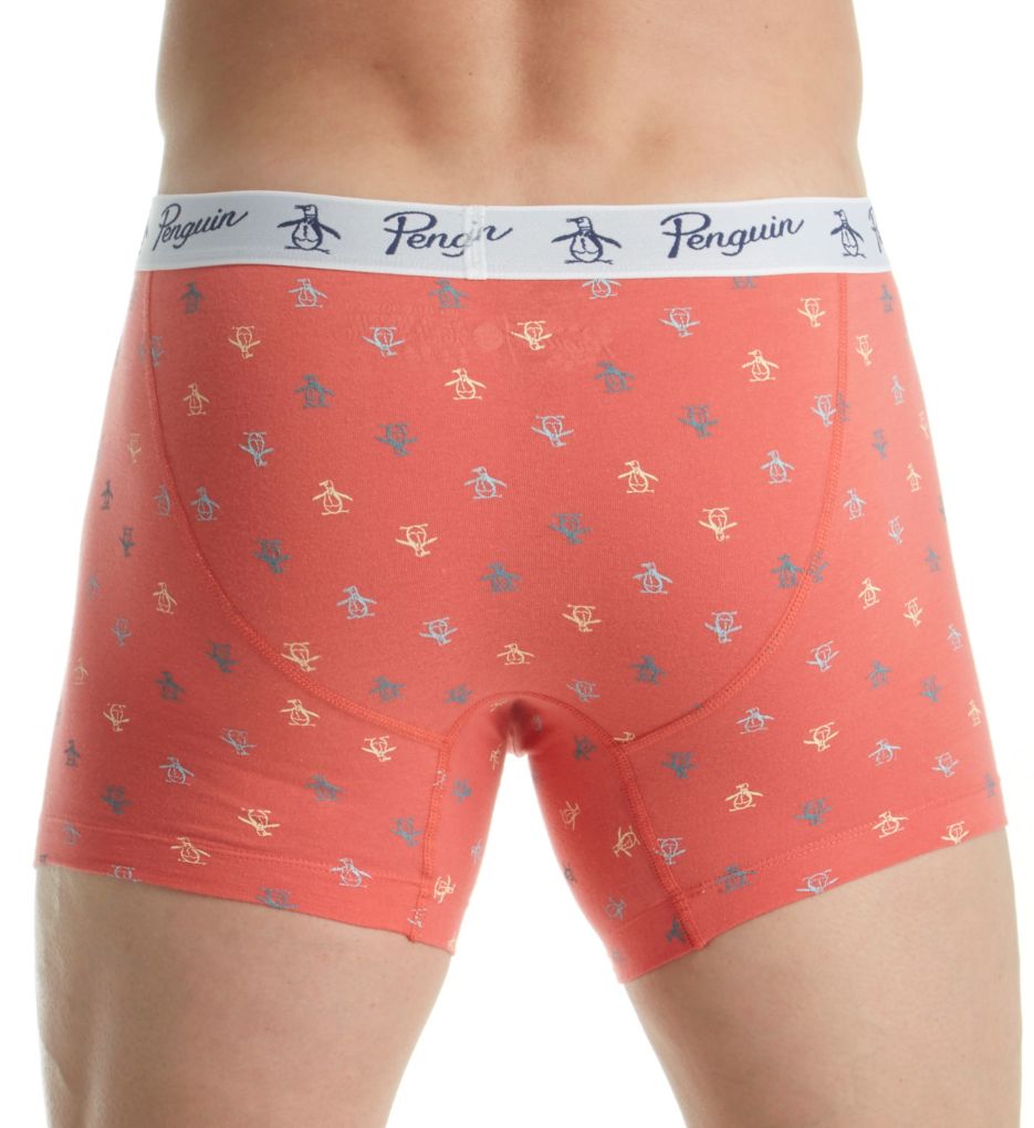 Fashion Penguin Print Basic Knit Boxer Brief