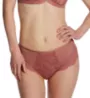 Panache Radiance Deep Brief Panty 10464