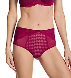 Envy Deep Brief Panty Orchid XS