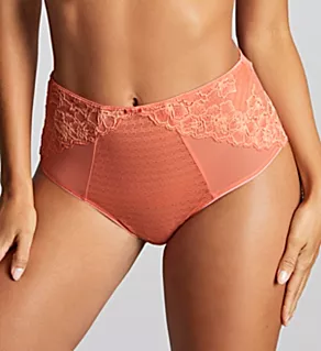 Envy Deep Brief Panty Terracota M