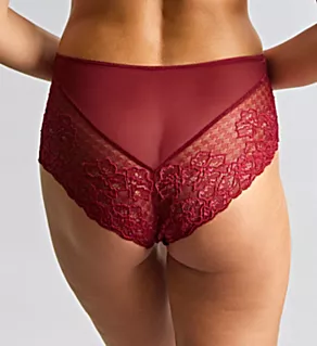 Envy Deep Brief Panty Sparkling Cherry 2X